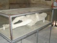 /album/pompeje/a3199467514-jpg1/